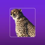 دانلود افزونه WP Fastest Cache